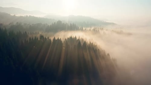 Mountains Foggy Sunset Autumn Morning Forest Mist Rays Sun