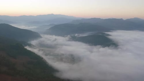 Aerial top view of forest trees and green mountain hills with sea fog, mist and clouds. Nature