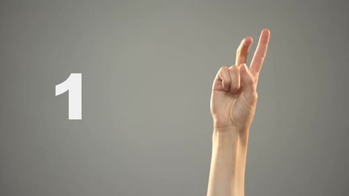 Hand Signing 0 to 10 Numbers in Asl, Sign Language Tutorial for Deaf People