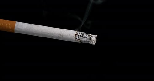 chain smoker how many cigarettes MOST CHAIN-SMOKED ACTORS IN HOLLYWOOD HISTORY 🚬🔥 Classic Hollywood glamour came wrapped in smoke. Long before warning labels and PSA campaigns, cigarettes were props, habits, and coping mechanisms — often all at chain smoker how many cigarettes MOST CHAIN-SMOKED ACTORS IN HOLLYWOOD HISTORY 🚬🔥 Classic Hollywood glamour came wrapped in smoke. Long before warning labels and PSA campaigns, cigarettes were props, habits, and coping mechanisms — often all at