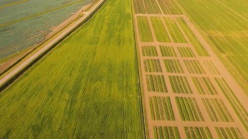 Vue aérienne des terres agricoles.