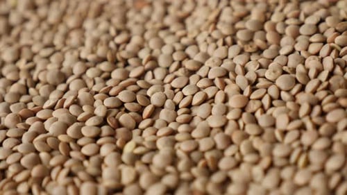 Pile of Dry Brown Lentils Close Up