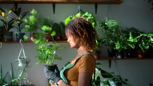 Beautiful Woman Gardener Takes Care of Houseplant While Standing at Light House Garden Spbd
