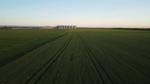 Grain Elevator