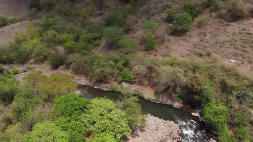 Following The Stream Tropical River
