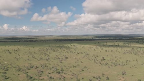 Aerial drone view of african savanna landscape in Laikipia, Kenya