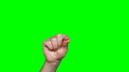 Hand Gestures on Green Screen Background