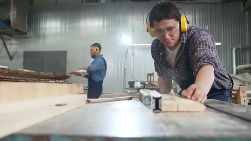 Woodworker Cutting Plywood in Workshop