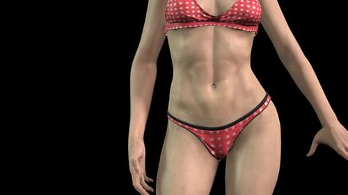 Female Body Transformation Weight Loss Fitness Animation