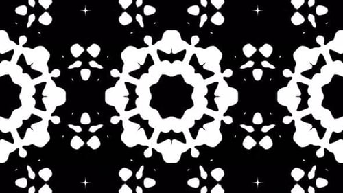 Dynamic Abstract Black and White Geometric Pattern
