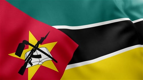 Realistic Waving Mozambique National Flag Loop