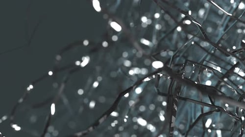 Neural Connections Background