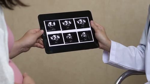 Pregnant Woman and Gynecologist Doctor at Hospital