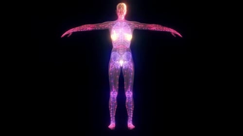 Corpo Feminino Scanning Hd