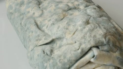 Pâte phyllo blanche sous les hyphes, gros plan 4K 2160p, 30 images par seconde, vidéo inclinable UltraHD - Propagation de la moisissure