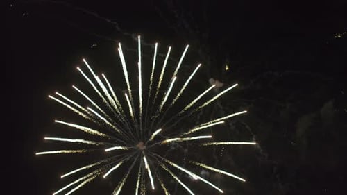 Big Colorful Fireworks at Night