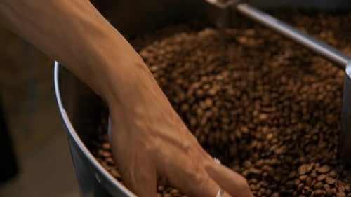 Coffee Roasting Process in Small Roaster Factory