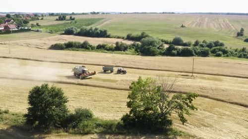 Aerial Drone Shot a Combine Harvester and a Tractor Stand in a Field in a Rural Area on Sunny Day
