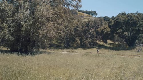Girl Hiking In The Park