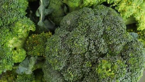 Fresh Green Broccoli Rotate