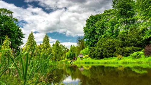 Calm lake in green city park.