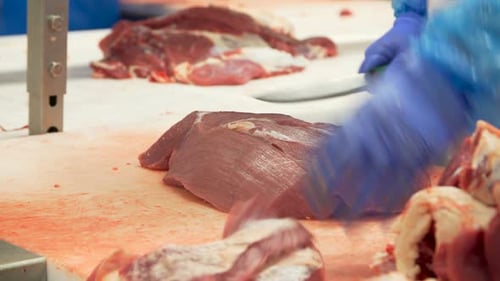 Gloved Hand Cuts Raw Meat with a Knife