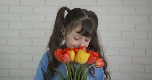 Little Girl Smells Yellow and Red Tulips