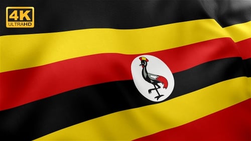 Uganda National Flag Realistic Waving Loop