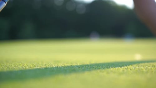 Golf Club Hits a Golf Ball Slow Motion Fail Amateur Study Playing