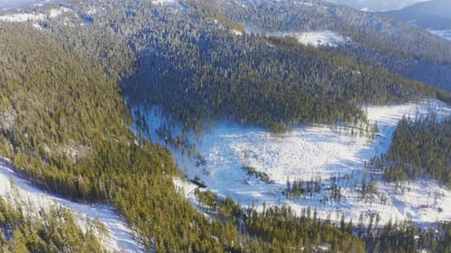 High Snowy Mountain Covered with Evergreen Fir Trees on a Sunny Cold Day