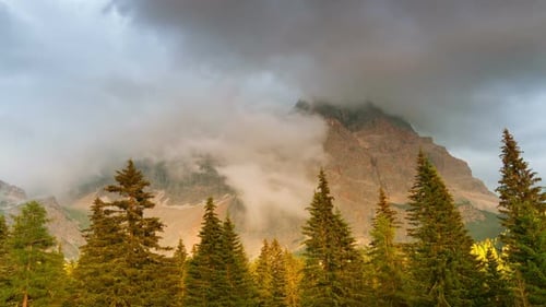 Mountain Range with Clouds over Pine Forest