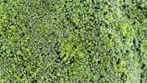 Broccoli Top View Rotating Fresh Green Broccoli Closeup Vitamins Raw Food and Vegetarian Lifestyle