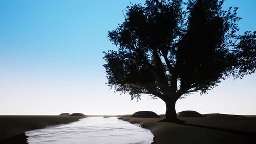 Beautiful Sunset and Night Sky Time Lapse with Tree