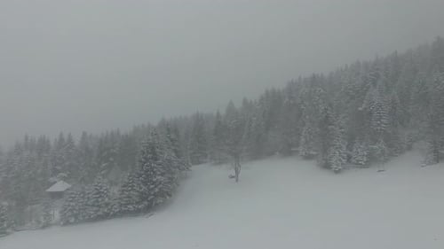 Imágenes aéreas de árboles cubiertos de nieve con Zumbidos, paisaje, naturaleza invernal, hermosa Europa, bosque y montaña