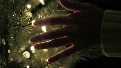 Hand Touches Warm Christmas Tree in the Evening