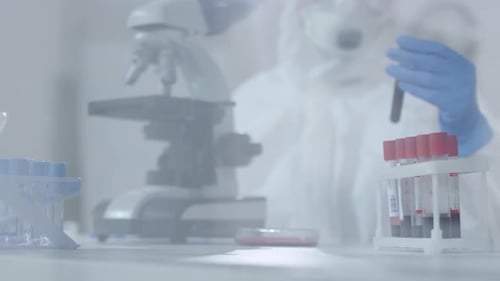 Scientist Handling Blood Samples in a Laboratory