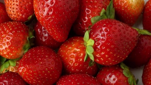 Close Up of Fresh Red Strawberries