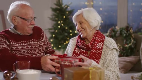 Elderly Couple Exchanging Christmas Gift with Love