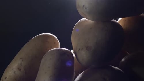 Raw Potatoes in a Mountain Gyrating