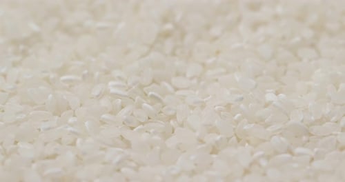 White rice