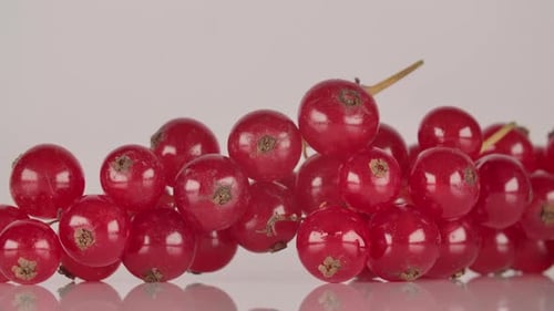 Fresh Red Currants Close Up on White Surface