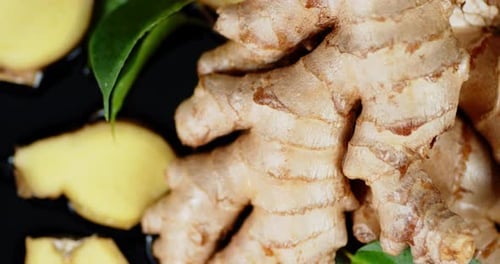 Close Up of Ginger Root with Green Stem