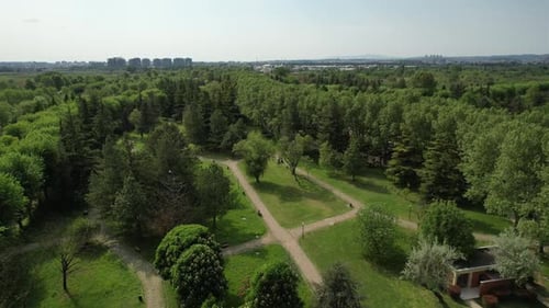 Aerial Greenery Botanical Park