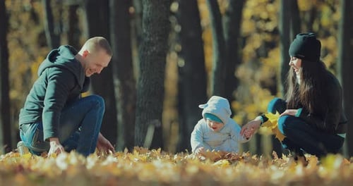 Family Fun with Autumn Leaves in Park