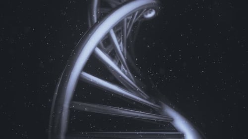 Isolated DNA Helix In A Macro Close-Up View 4k