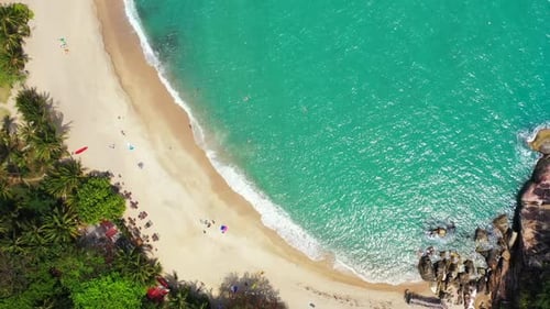 Aerial drone view landscape of luxury island beach wildlife by blue sea and white sandy background o