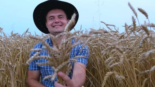 Smiling Farmer Holding Wheat in Golden Field