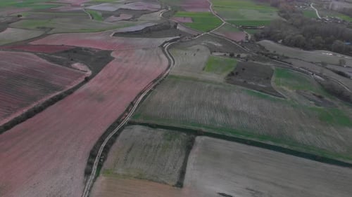 Cultivated field from above