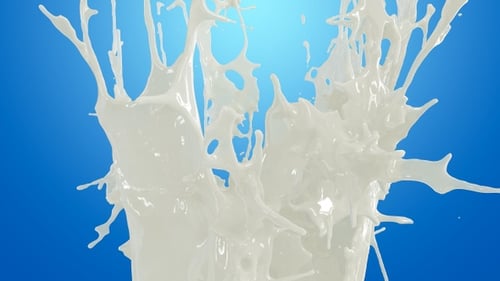 Milk Crown Splash