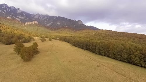 Fly Over Autumn Forest